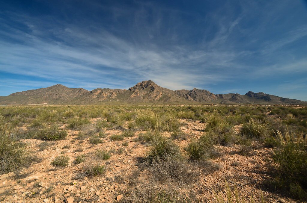 naturaleza-en-mazarron