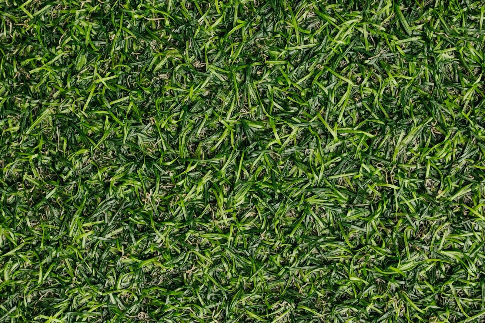 campus-futbol-mazarron