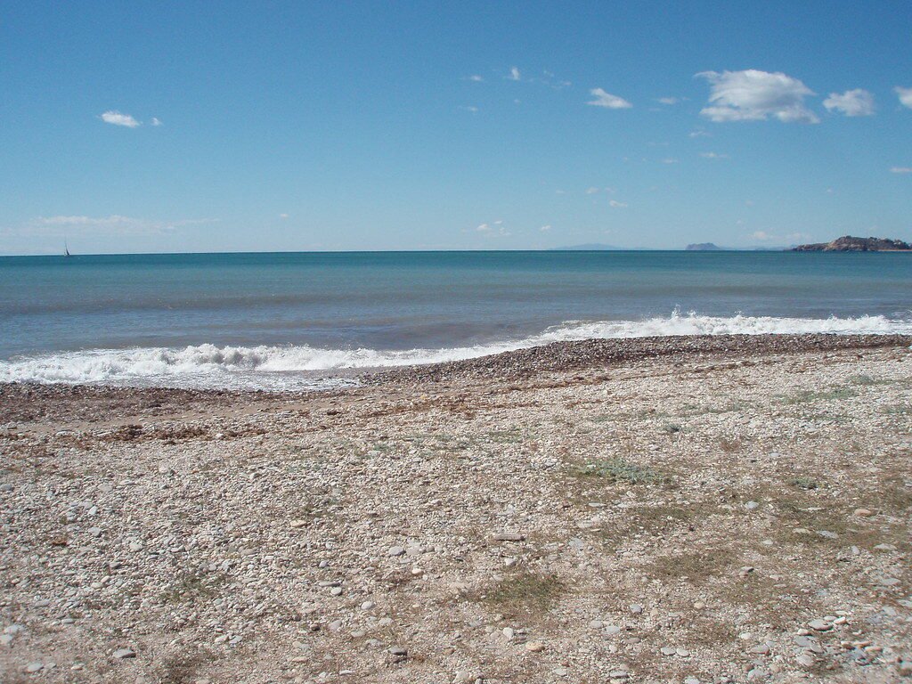 playa-alamillo