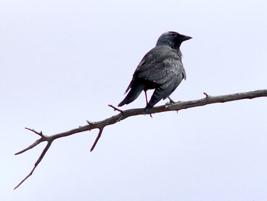 laguna-de-las-moreras-mazarron