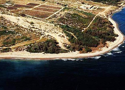 playa-de-las-chapas-mazarron