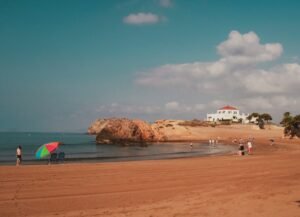 people on beach during daytime