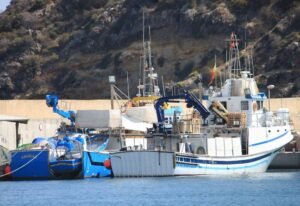 visita-lonja-mazarron-horarios-subasta-pescado