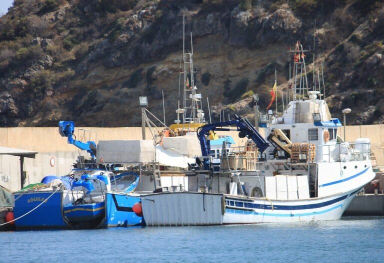 visita-lonja-mazarron-horarios-subasta-pescado