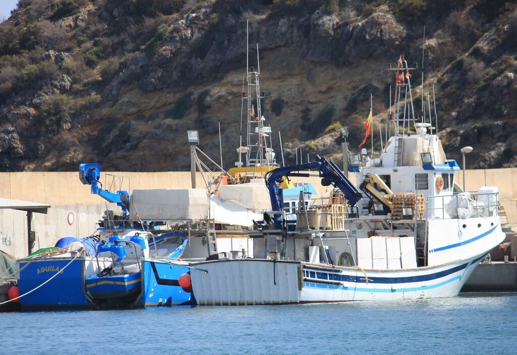 visita-lonja-mazarron-horarios-subasta-pescado