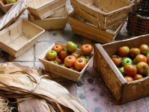 guia-solicitud-pac-mazarron-2026