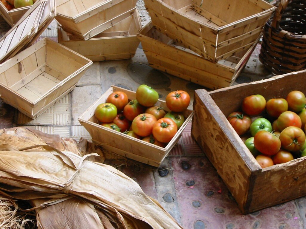 guia-solicitud-pac-mazarron-2026