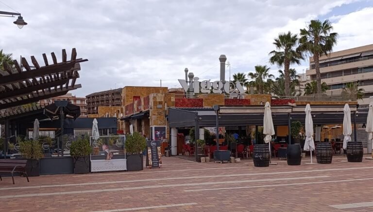 viggos-puerto-de-mazarron