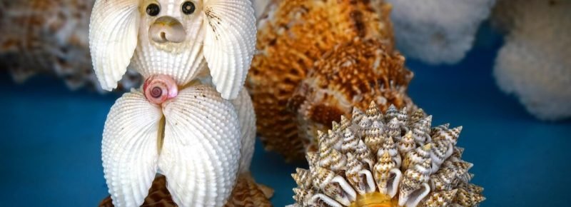 mercadillo-artesanal-puerto-de-mazarron