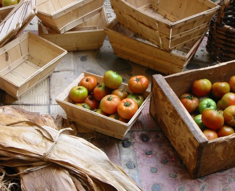 guia-solicitud-pac-mazarron-2026