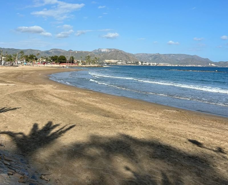 plan-recuperacion-playas-puerto-rihuete-mazarron