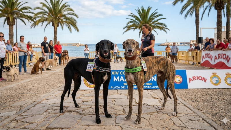 xiv-concurso-canino-nacional-puerto-mazarron